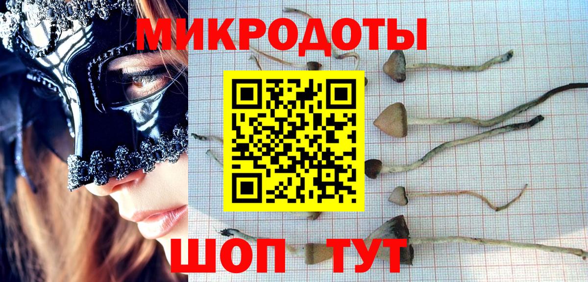 Галлюциногенные грибы мицелий Новодвинск