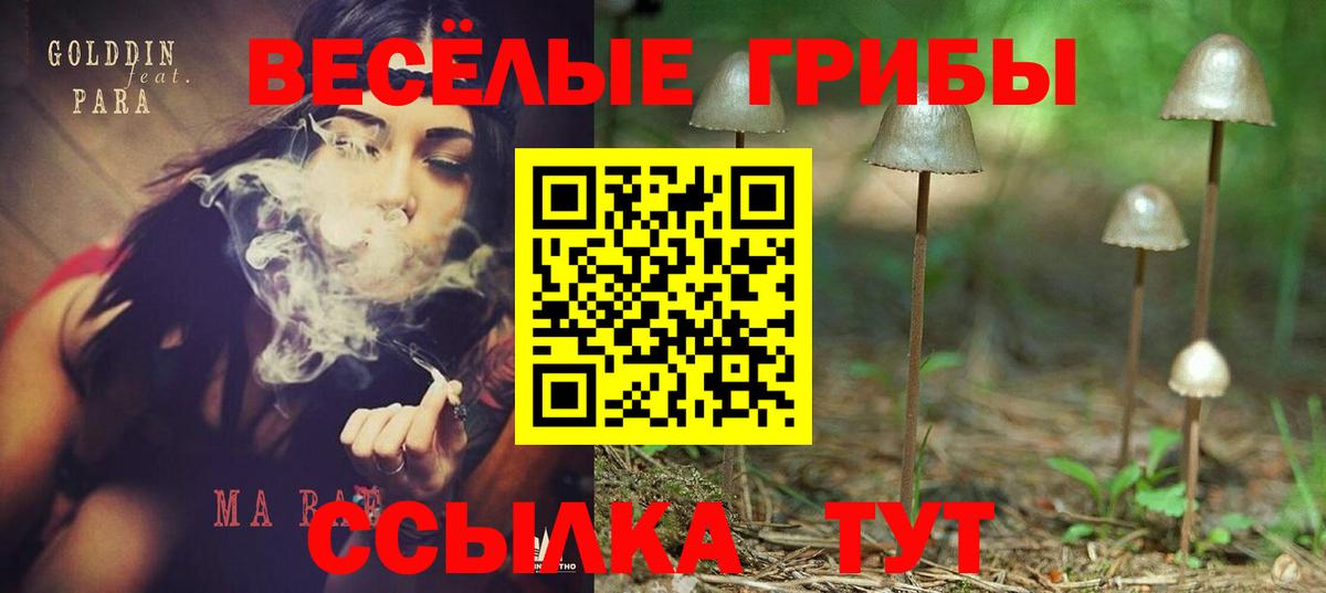 Новодвинск  Галлюциногенные грибы MAGIC MUSHROOMS  Галлюциногенные грибы Psilocybine cubensis  продажа наркотиков  Вход с VPN 